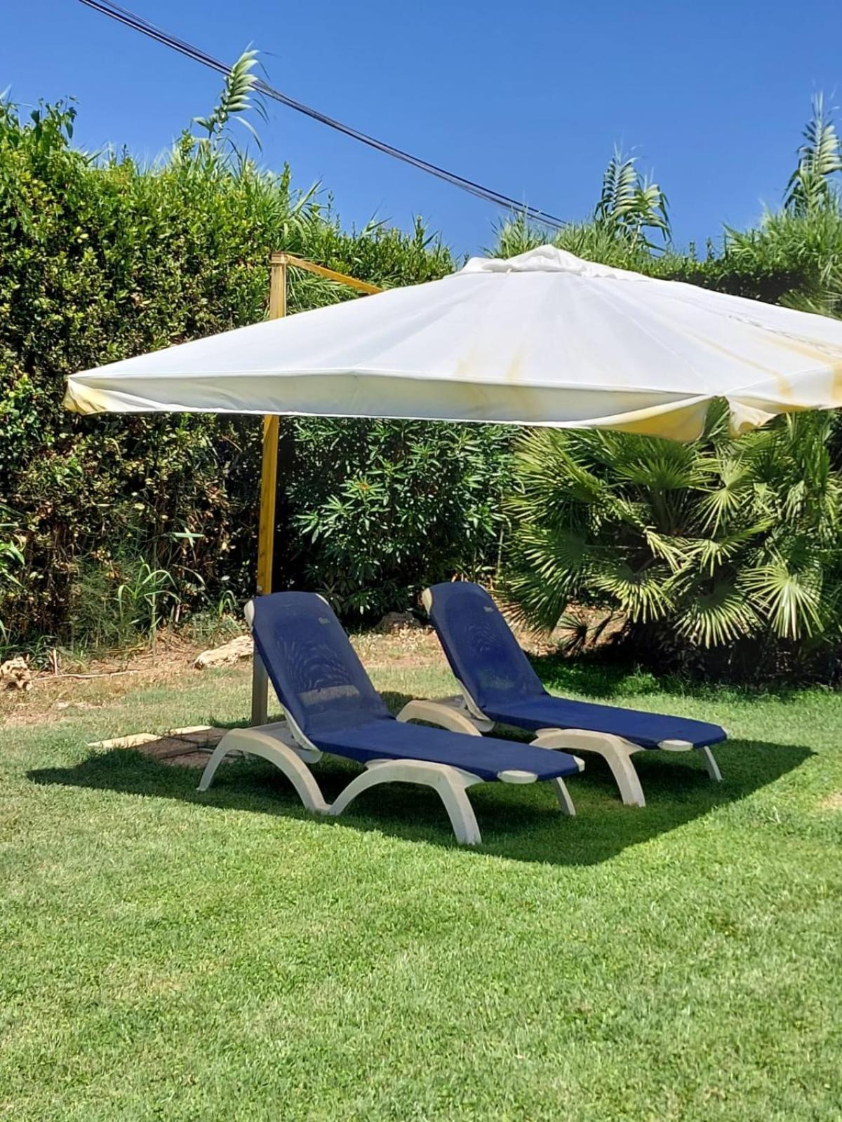 Modular King Suite - Intera Suite Vicino Aeroporto E Fiera Di Roma Fiumicino Exterior foto